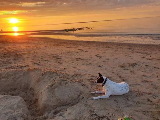 Renesse 2020 Foto 8