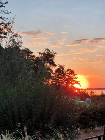 Veluwemeer 2022: Sonnenuntergang hinter den Bäumen am Veluwemeer