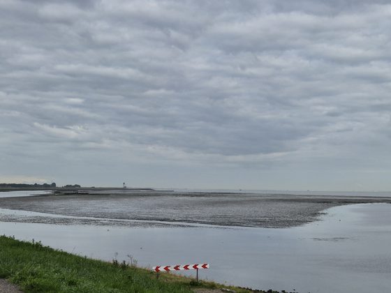Yerseke 2026: Trockengefallene Wattfläche bei Ebbe vor der Oosterschelde